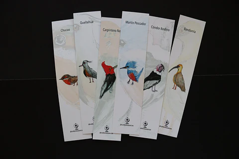 PAJAREOS - BOOKMARK