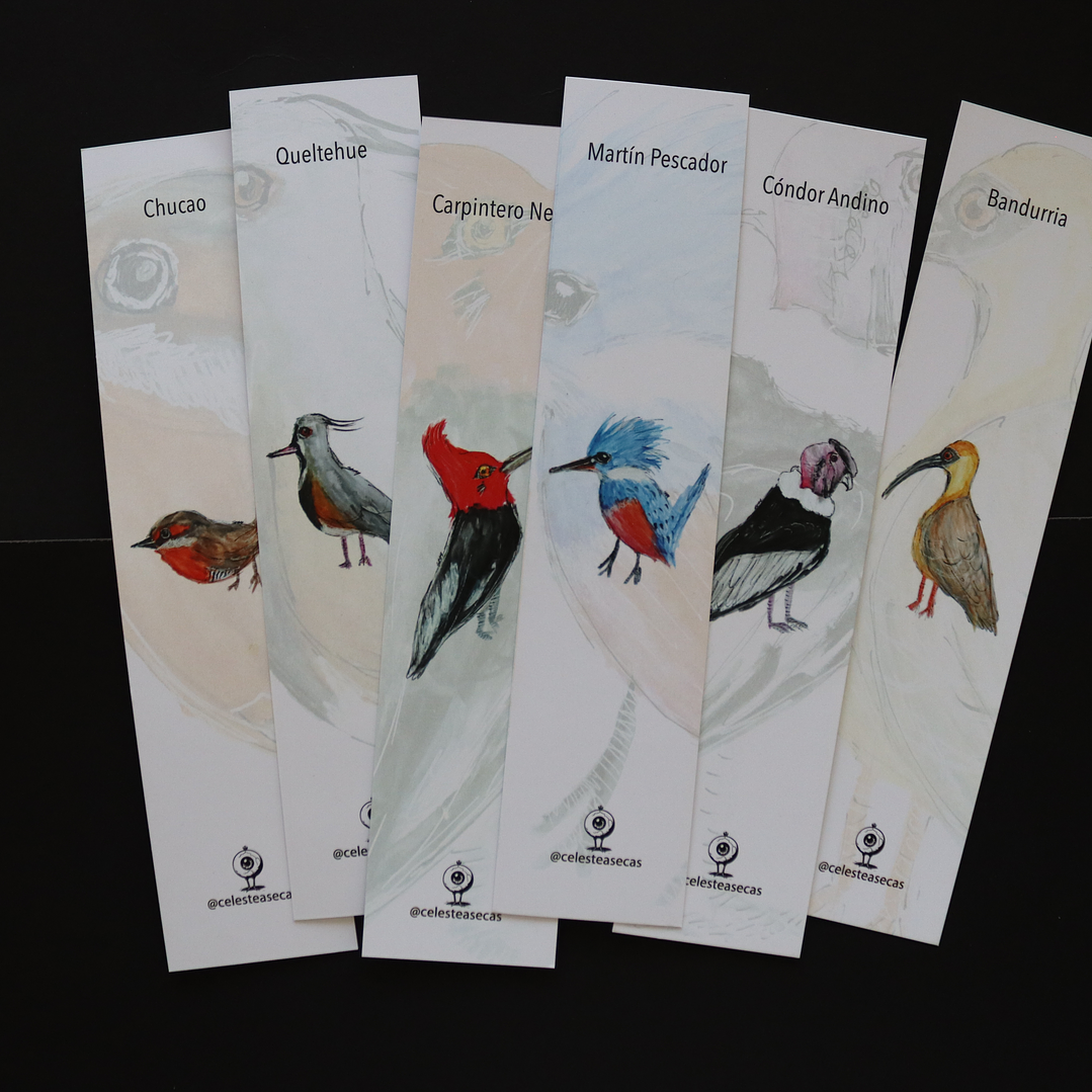 PAJAREOS - BOOKMARK 1