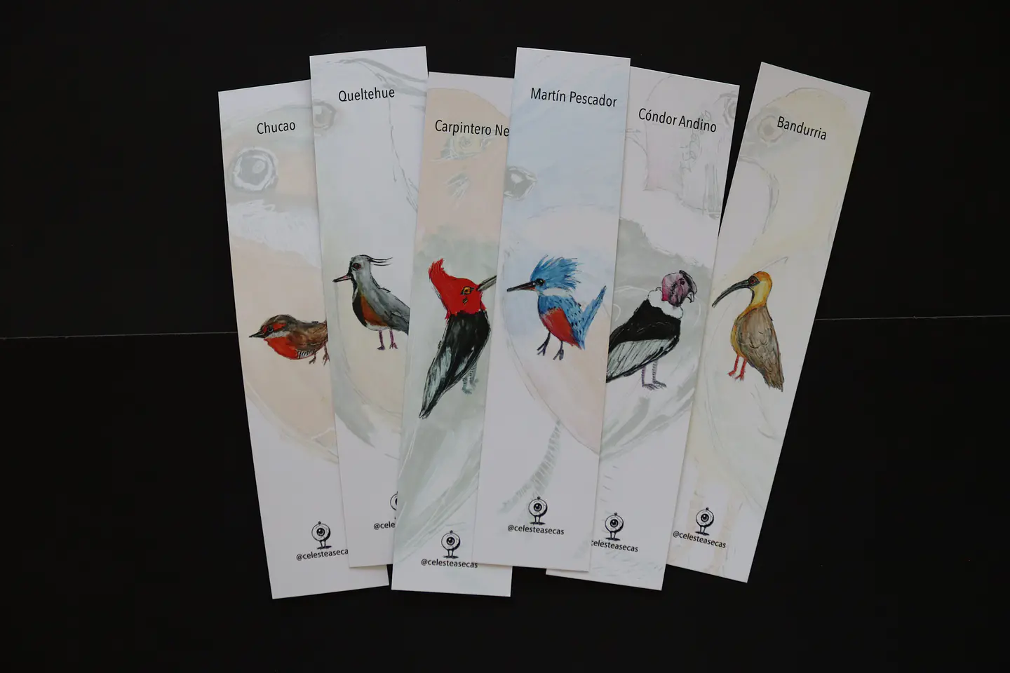 PAJAREOS - BOOKMARK 1
