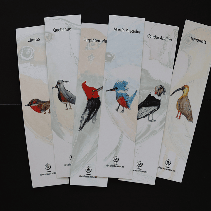 PAJAREOS - BOOKMARK 1