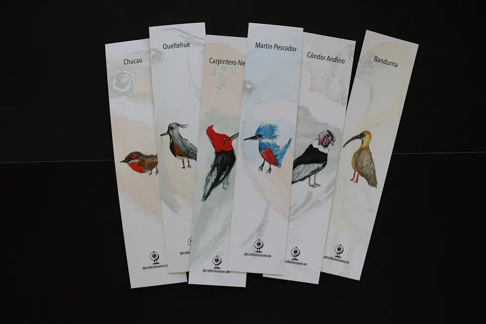 PAJAREOS - BOOKMARK 1