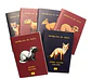 ANIMALES DE CHILE - PASSPORT TRAVEL NOTEBOOK - Miniatura 2