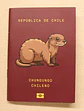 ANIMALES DE CHILE - PASSPORT TRAVEL NOTEBOOK - Miniatura 4