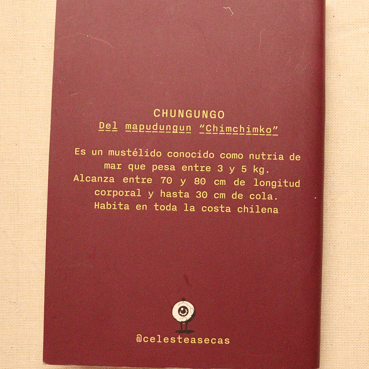 ANIMALES DE CHILE - PASSPORT TRAVEL NOTEBOOK 5