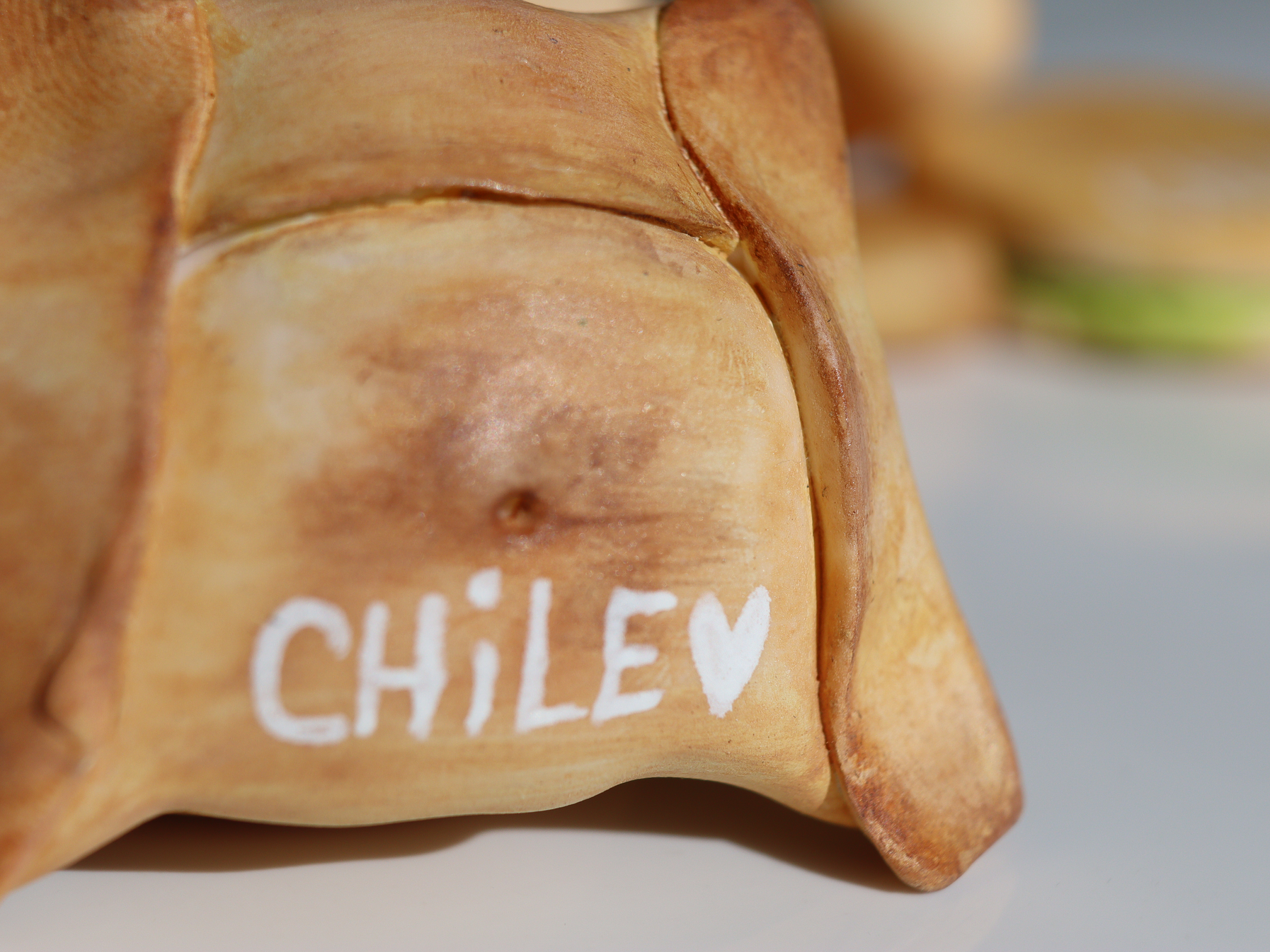 TÍPICO CHILENO -  MAGNET 4