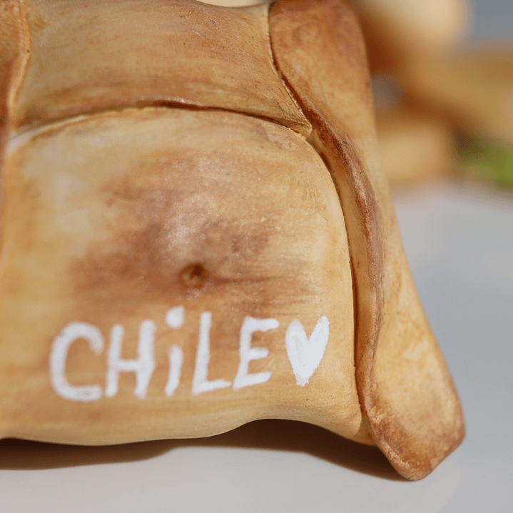 TÍPICO CHILENO -  MAGNET 4