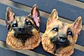 PERRITOS - MAGNET - Miniatura 4