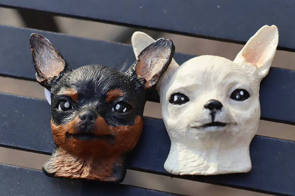 PERRITOS - MAGNET 5