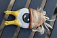 OJO POLLO -MAGNET - Miniatura 6