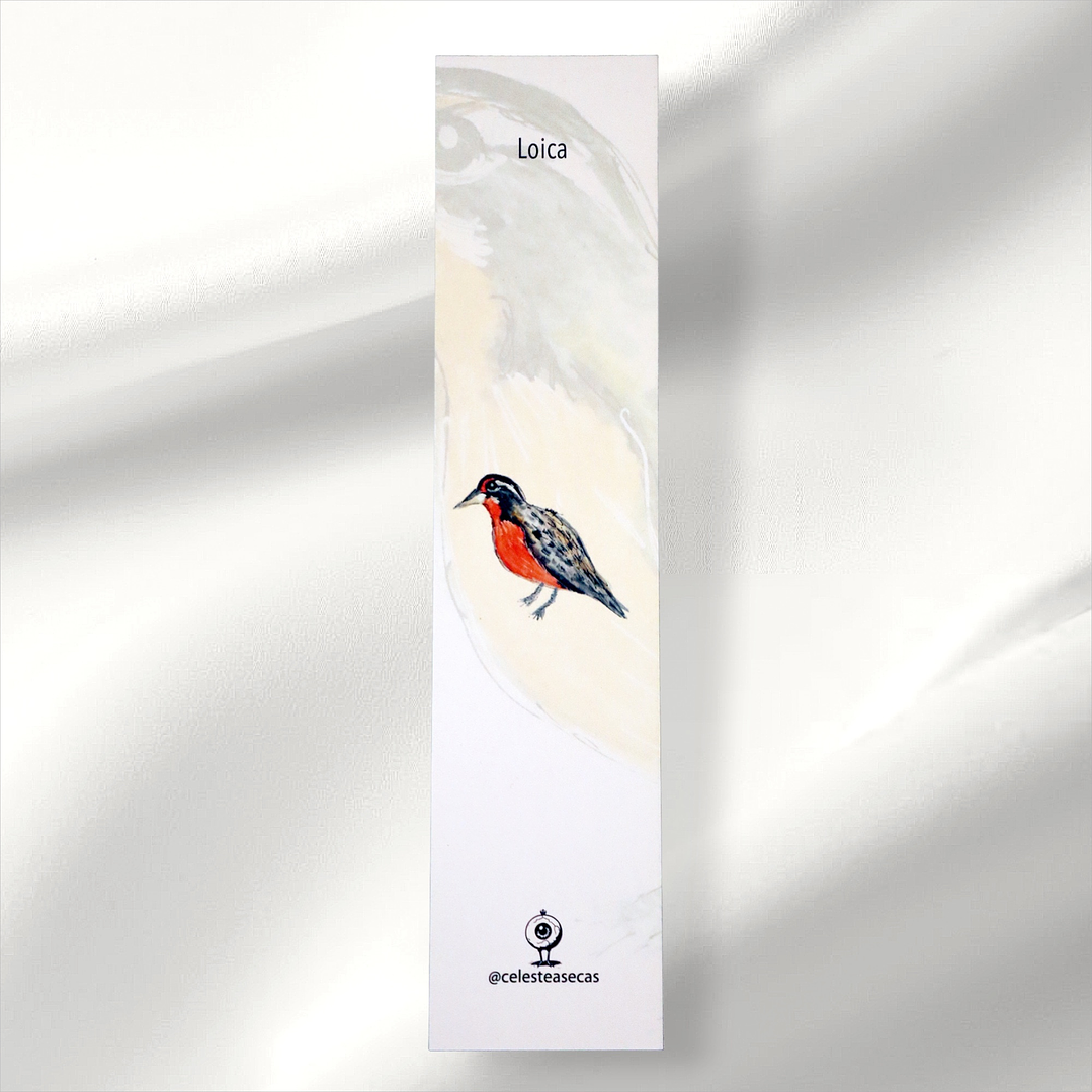 PAJAREOS - BOOKMARK 8