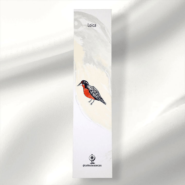 PAJAREOS - BOOKMARK 8