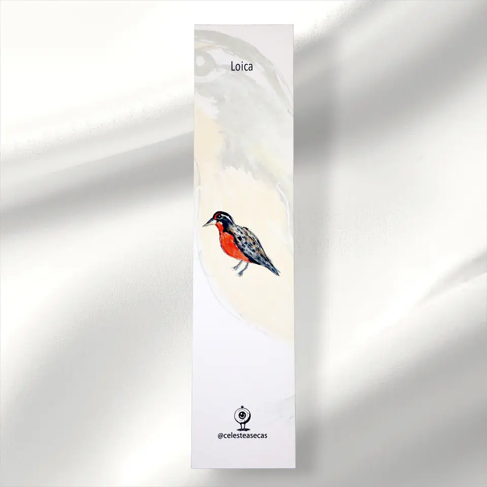 PAJAREOS - BOOKMARK 8