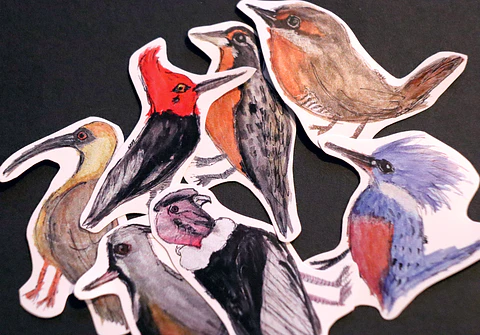 FAUNA DE CHILE - SET DE STICKERS