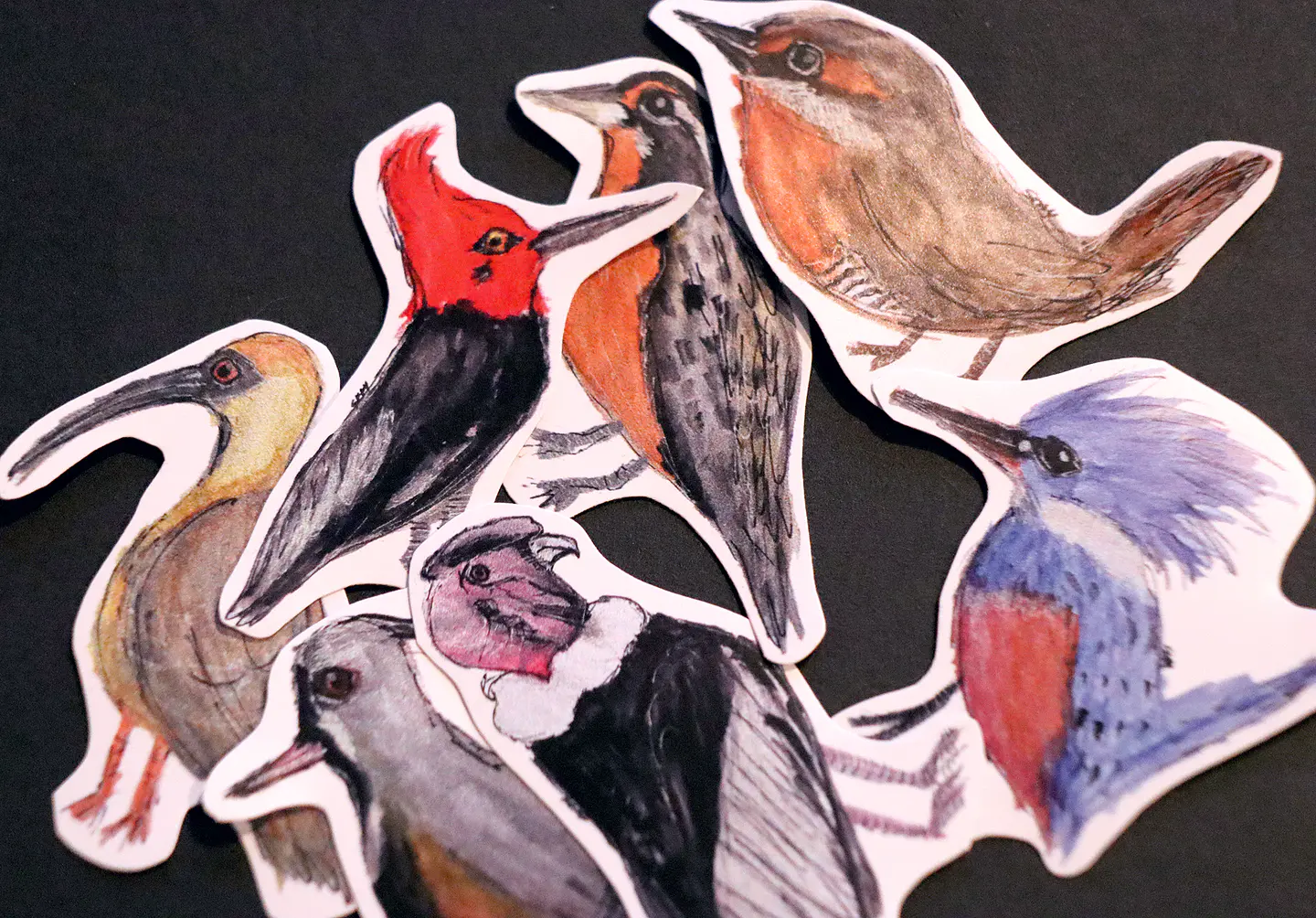 FAUNA DE CHILE - SET DE STICKERS 1