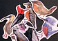 FAUNA DE CHILE - SET DE STICKERS - Miniatura 1
