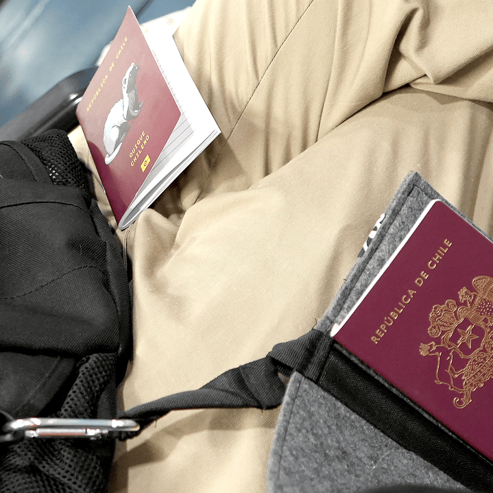 A TODAS - PORTAPASAPORTE 6