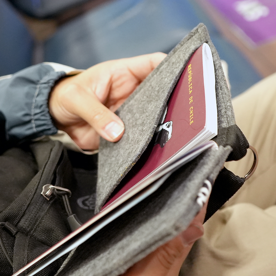 A TODAS - PORTAPASAPORTE 5