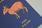 ANIMALES DE CHILE - PASSPORT TRAVEL NOTEBOOK - Miniatura 8