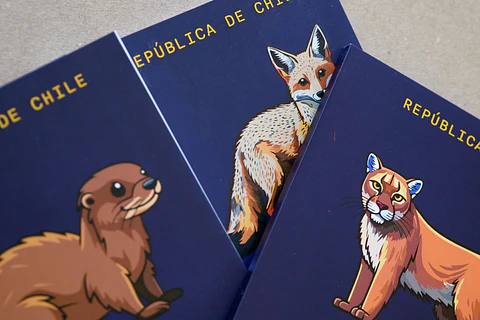 ANIMALES DE CHILE - PASSPORT TRAVEL NOTEBOOK