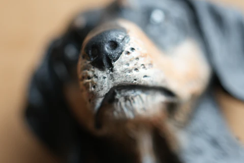 MI MASCOTA - MAGNET