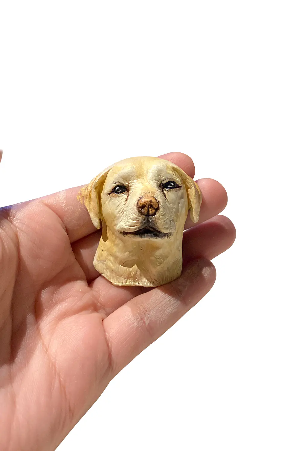 MI MASCOTA - MAGNET 4