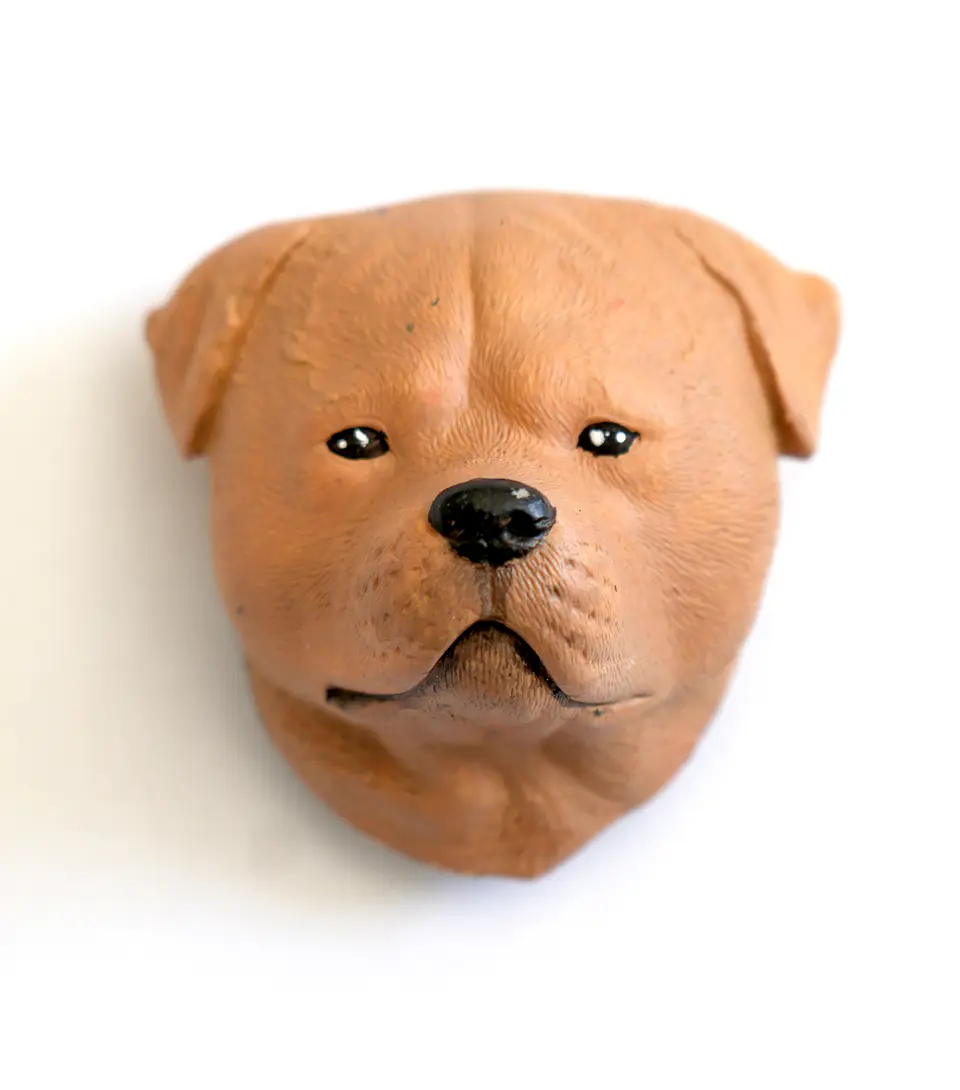 PERRITOS - MAGNET 8