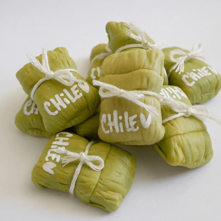 TÍPICO CHILENO -  MAGNET 6