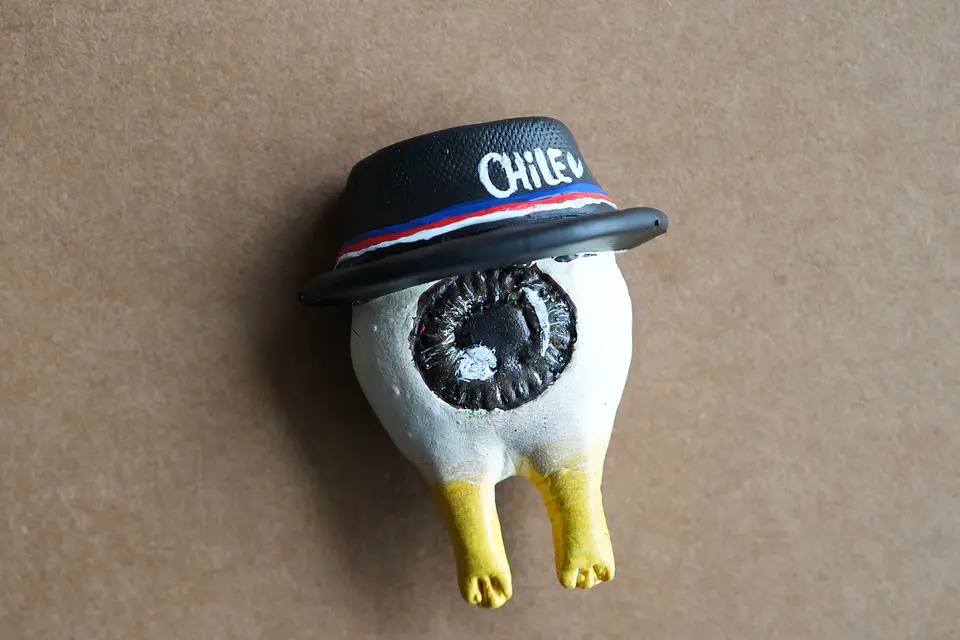OJO POLLO -MAGNET 8