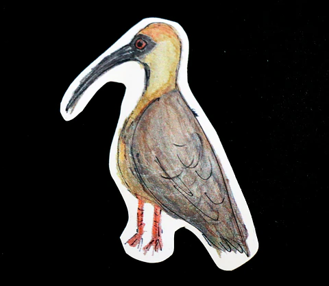 FAUNA DE CHILE - SET DE STICKERS