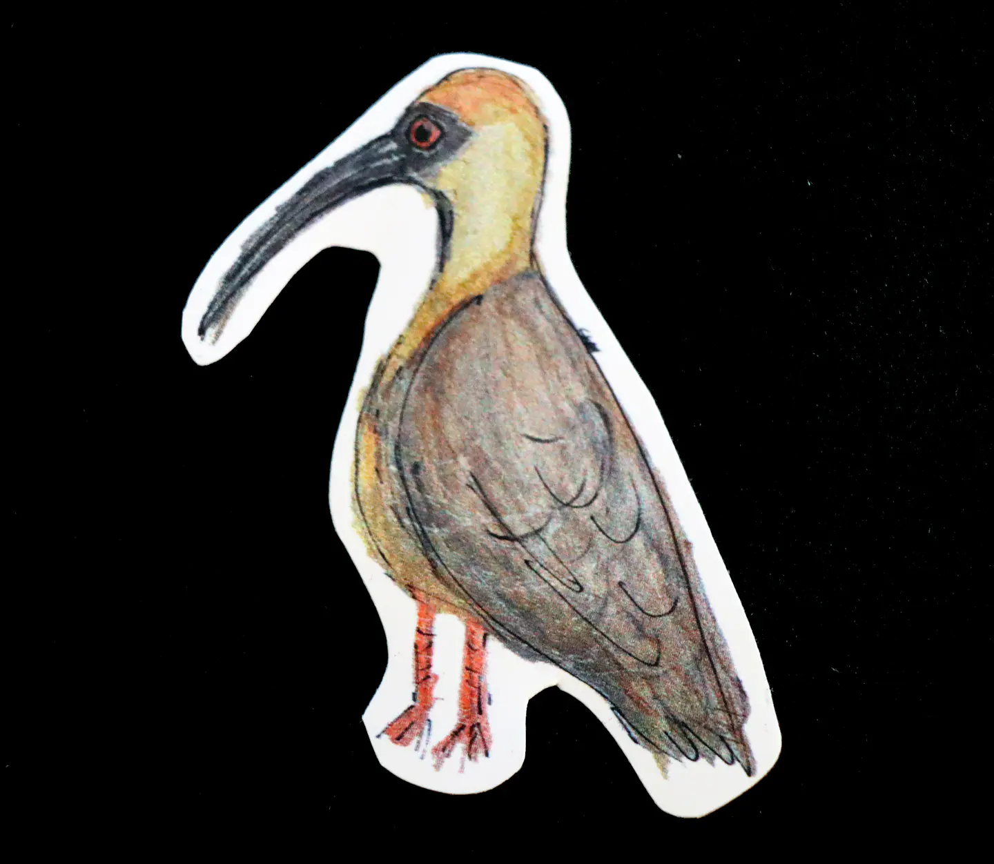 FAUNA DE CHILE - SET DE STICKERS 2