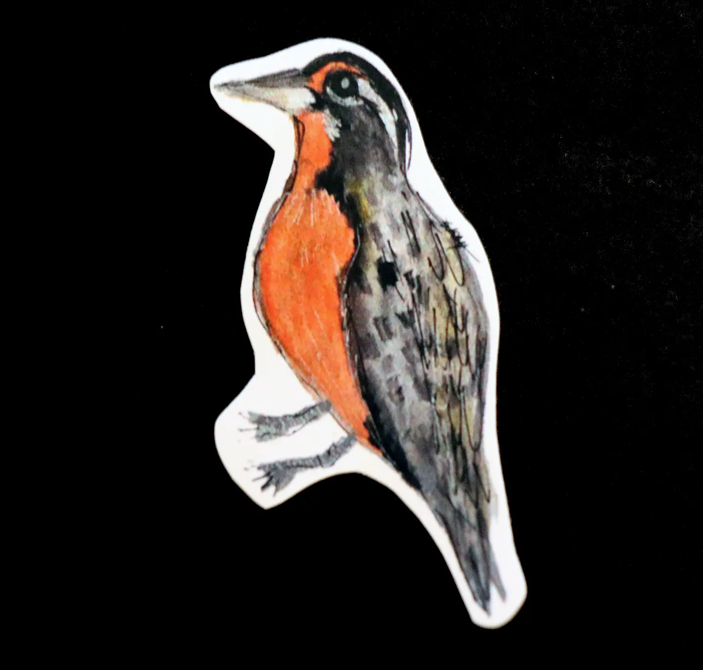 FAUNA DE CHILE - SET DE STICKERS 3