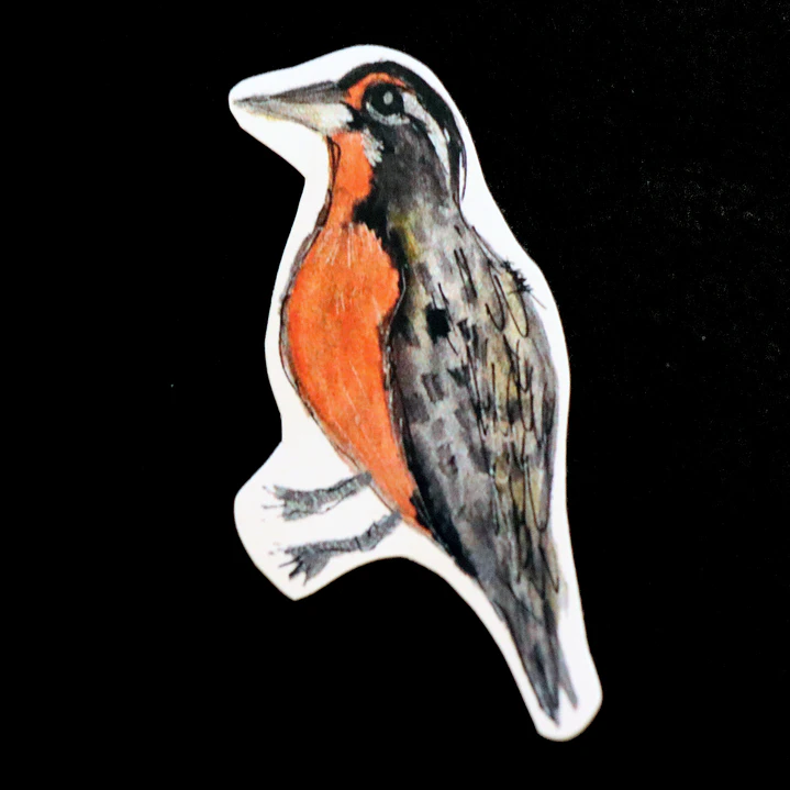 FAUNA DE CHILE - SET DE STICKERS 3