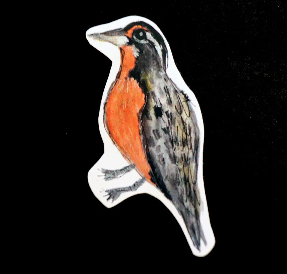 FAUNA DE CHILE - SET DE STICKERS 3
