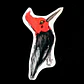 FAUNA DE CHILE - SET DE STICKERS - Miniatura 5