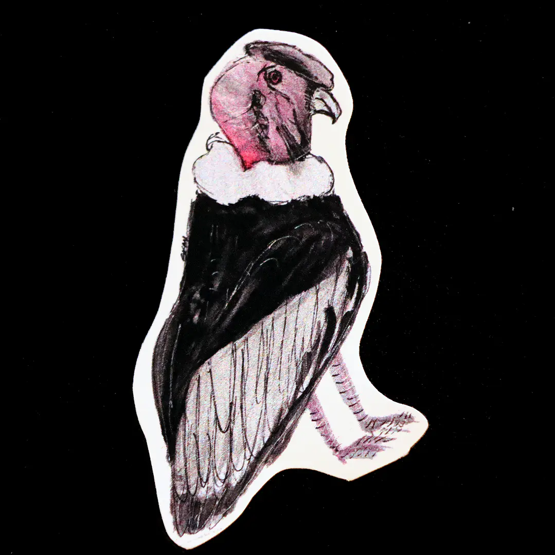 FAUNA DE CHILE - SET DE STICKERS 6