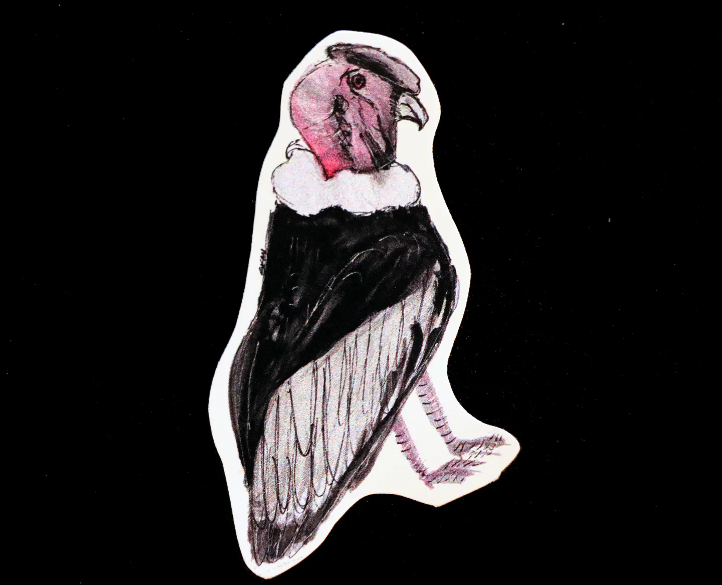 FAUNA DE CHILE - SET DE STICKERS 6