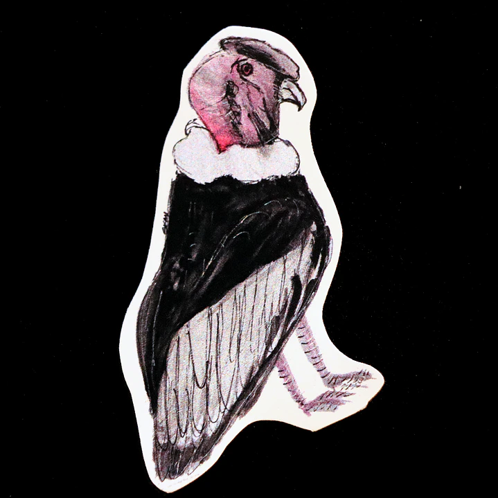FAUNA DE CHILE - SET DE STICKERS 6
