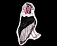 FAUNA DE CHILE - SET DE STICKERS - Miniatura 6