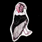 FAUNA DE CHILE - SET DE STICKERS - Miniatura 6