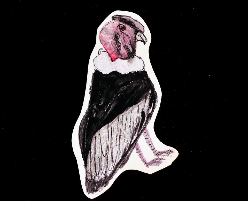 FAUNA DE CHILE - SET DE STICKERS 6