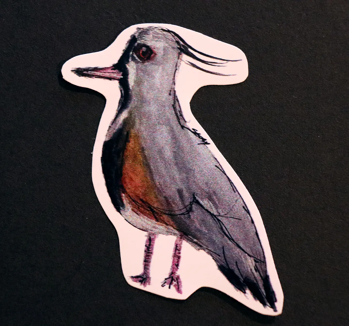 FAUNA DE CHILE - SET DE STICKERS 7
