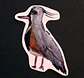 FAUNA DE CHILE - SET DE STICKERS - Miniatura 7
