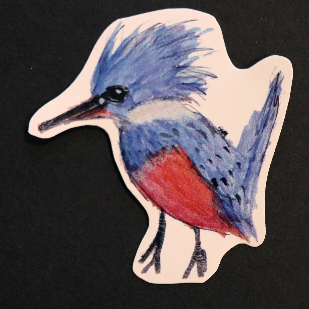 FAUNA DE CHILE - SET DE STICKERS 8