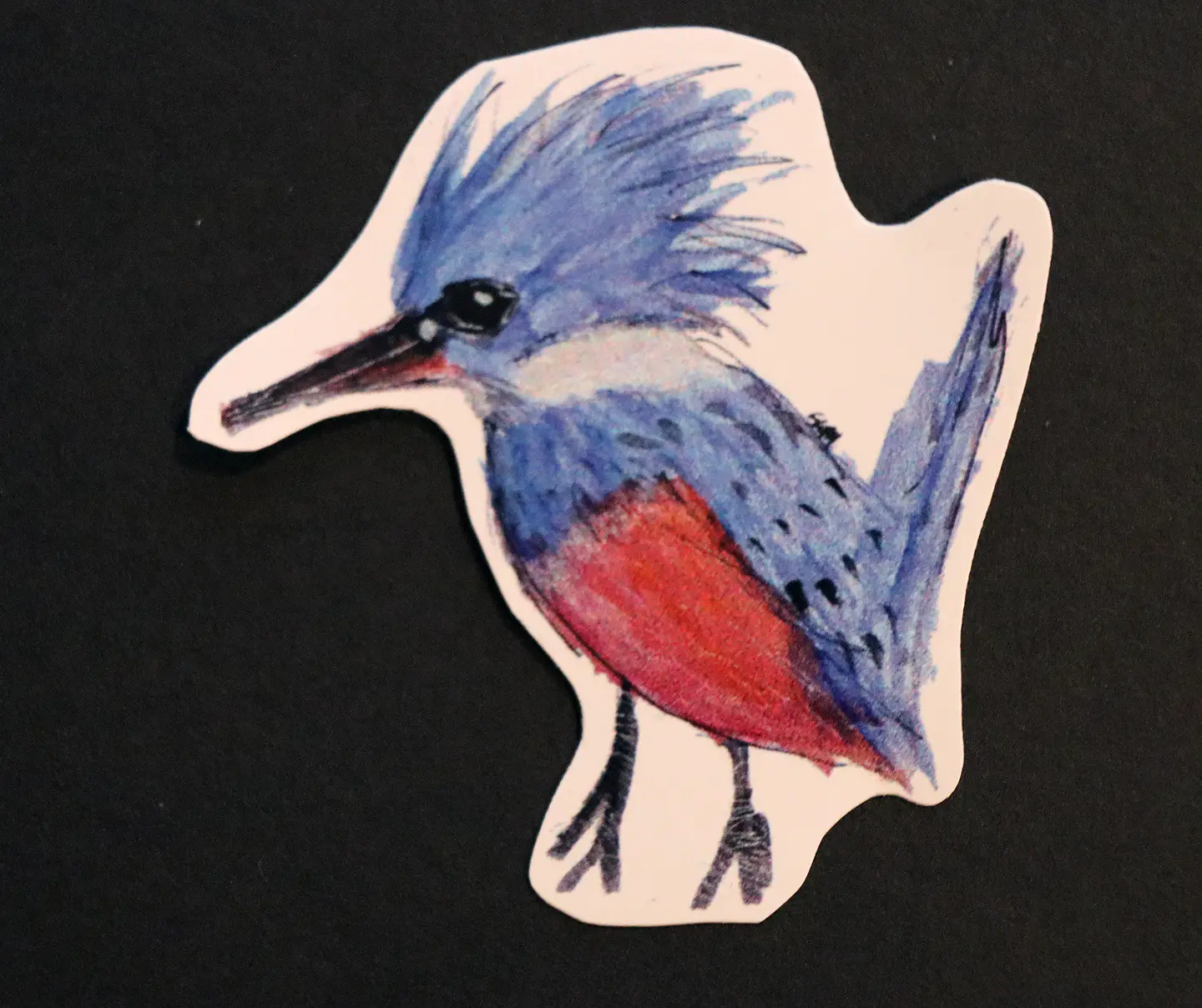 FAUNA DE CHILE - SET DE STICKERS 8