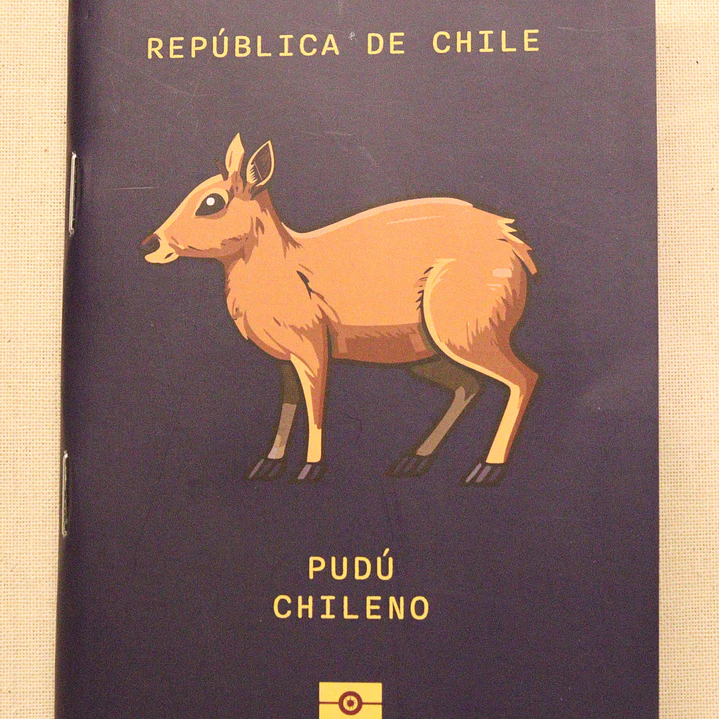 ANIMALES DE CHILE - PASSPORT TRAVEL NOTEBOOK 13