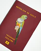 ANIMALES DE CHILE - PASSPORT TRAVEL NOTEBOOK - Miniatura 3
