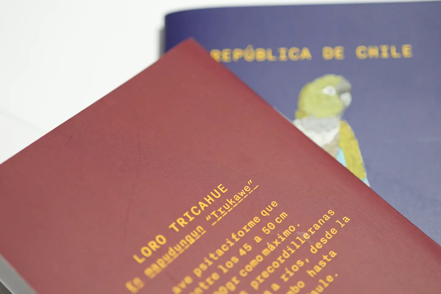 ANIMALES DE CHILE - PASSPORT TRAVEL NOTEBOOK 5