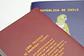 ANIMALES DE CHILE - PASSPORT TRAVEL NOTEBOOK - Miniatura 5