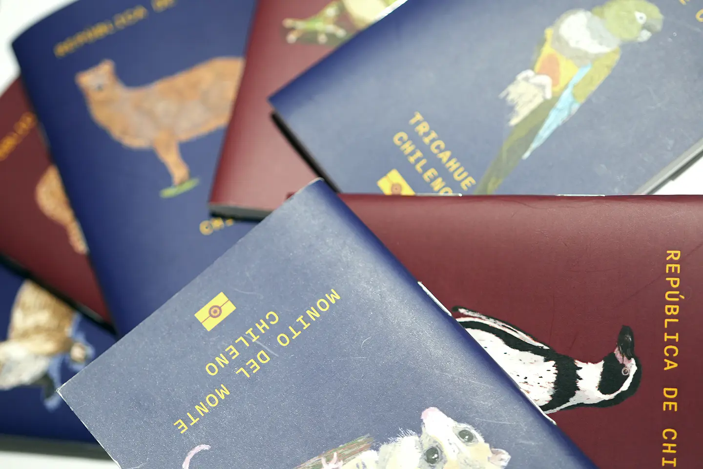 ANIMALES DE CHILE - PASSPORT TRAVEL NOTEBOOK 2