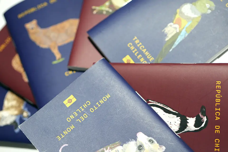 ANIMALES DE CHILE - PASSPORT TRAVEL NOTEBOOK 2